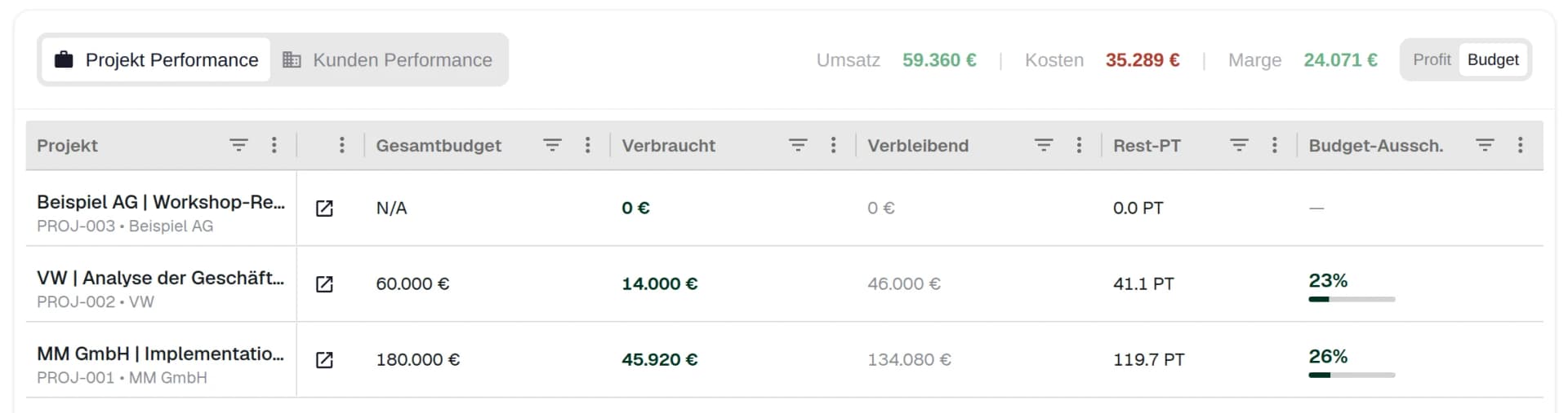 Project Performance Budget tab showing total budget, consumption, remaining budget and percentage consumed for three sample projects.